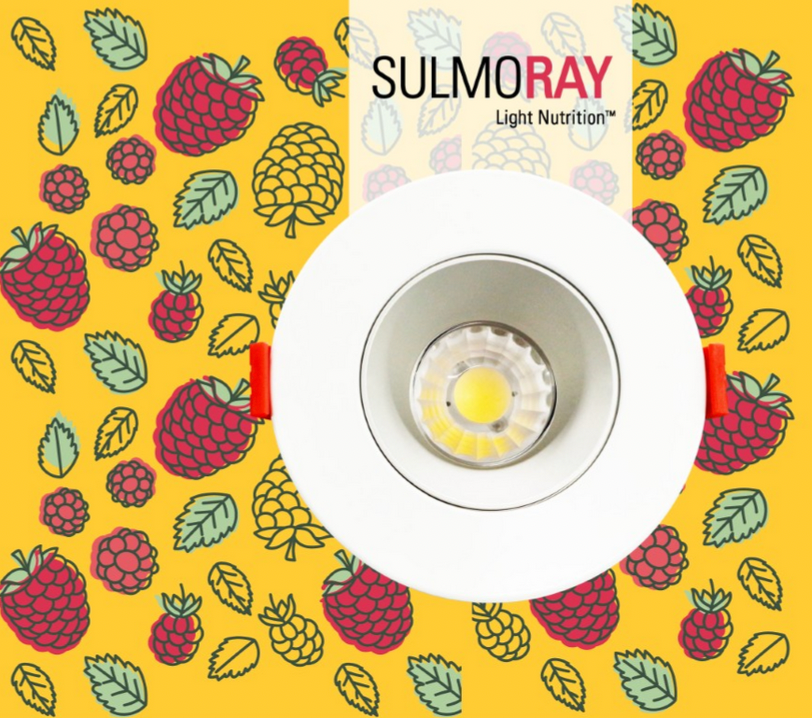Sulmo Ray NOW WITH 95 CRI – Ovid Lighting
